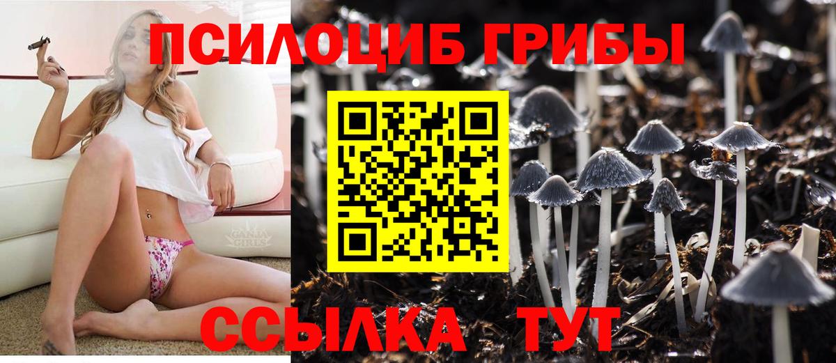 Галлюциногенные грибы мицелий Похвистнево
